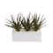 11" Triple Aloe Succulent Artificial Plant in White Planter